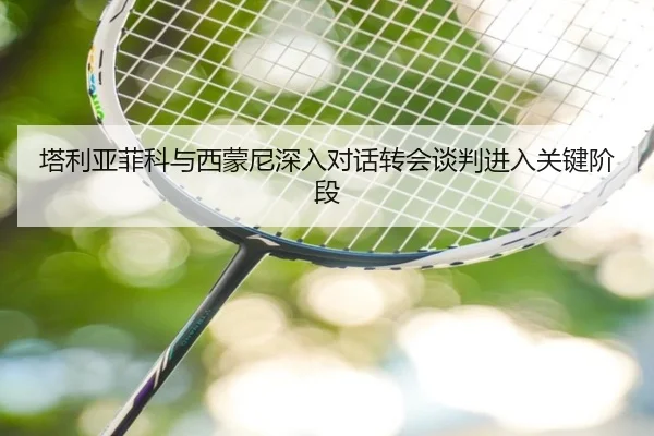 塔利亚菲科与西蒙尼深入对话转会谈判进入关键阶段